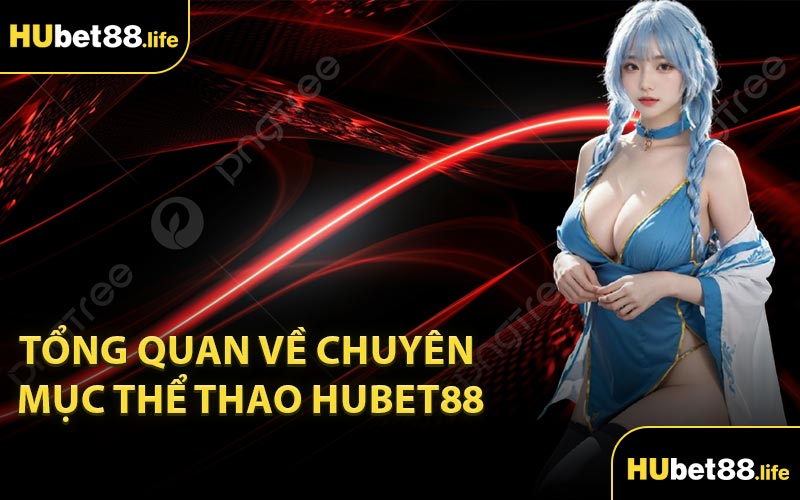 Tổng quan về chuyên mục thể thao Hubet88